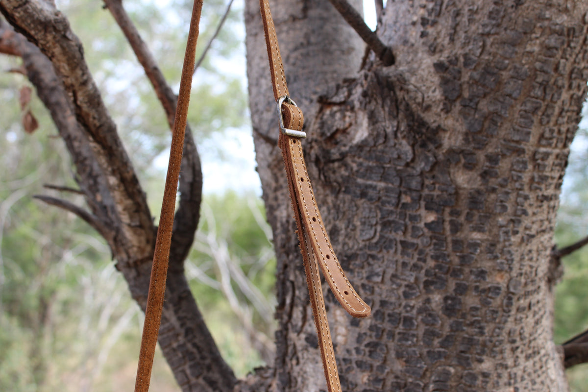 Brown leather bag strap hanging from a tree branch