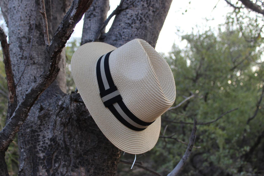 A cream-colored hat with a black and white band, hanging on a tree branch.
