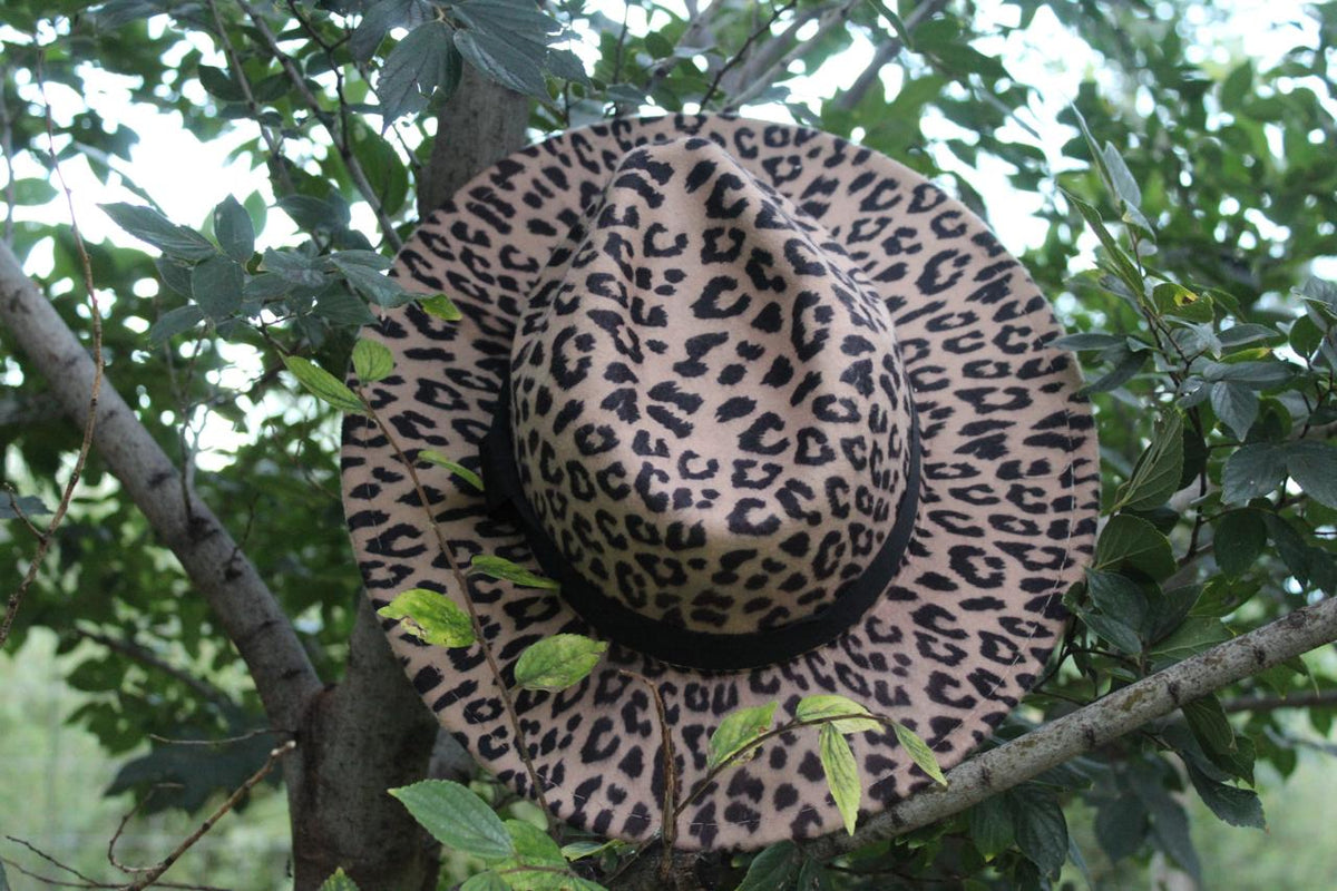 A leopard printed hat displayed against a backdrop of green leaves.